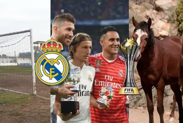 Fue uno de los máximos exponentes de la última década del Real Madrid pero no tiene club y vende caballos